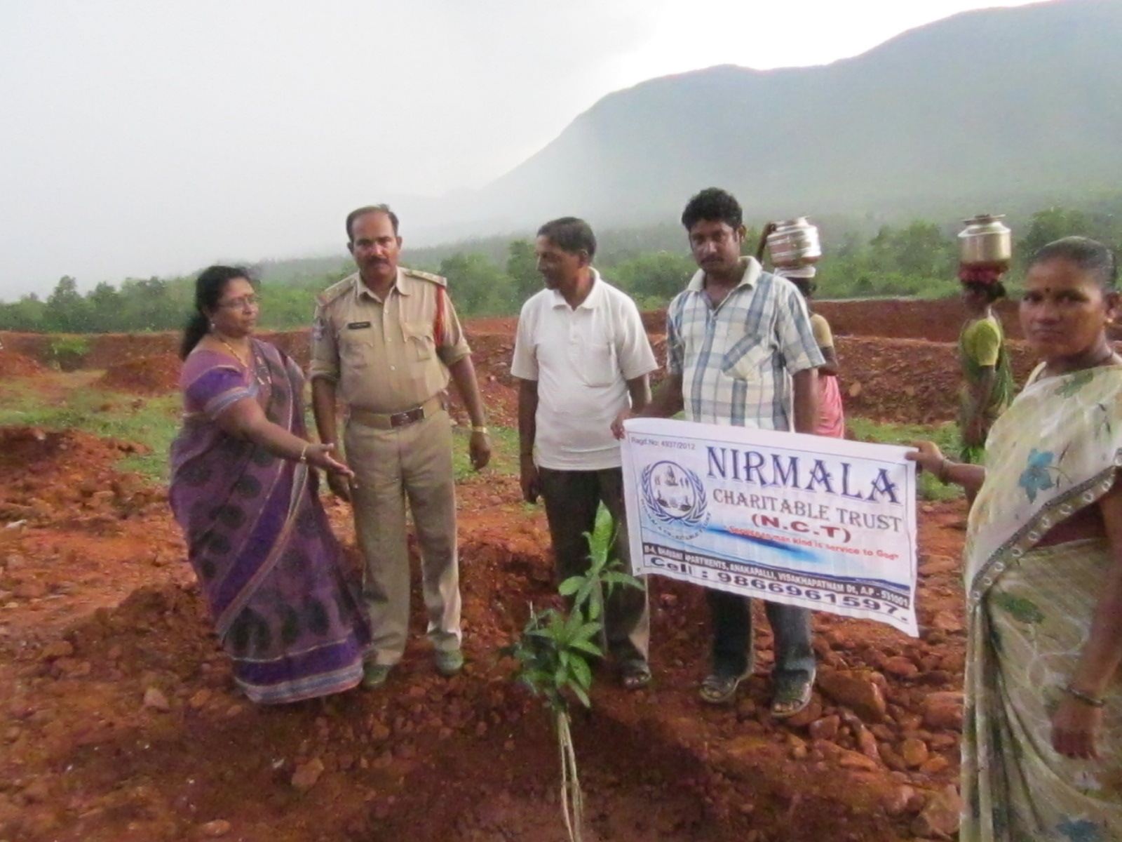 tree plantation